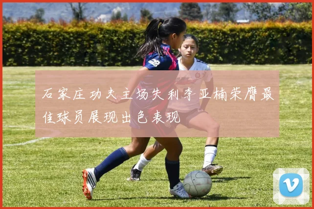 石家庄功夫主场失利李亚楠荣膺最佳球员展现出色表现